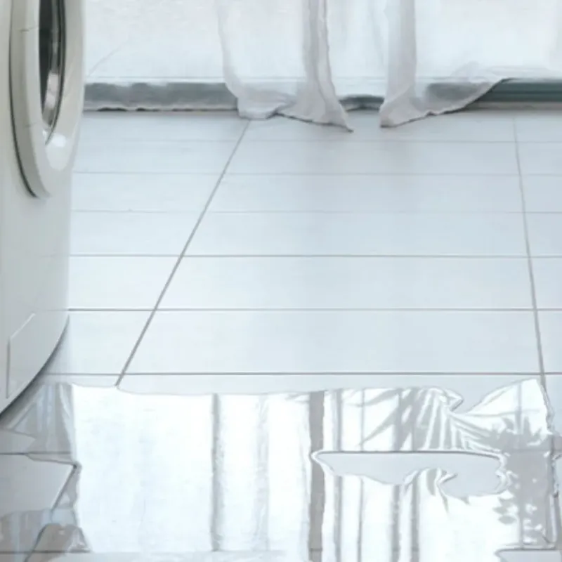 Appliance Leak Cleanup in Fort Bend County, TX