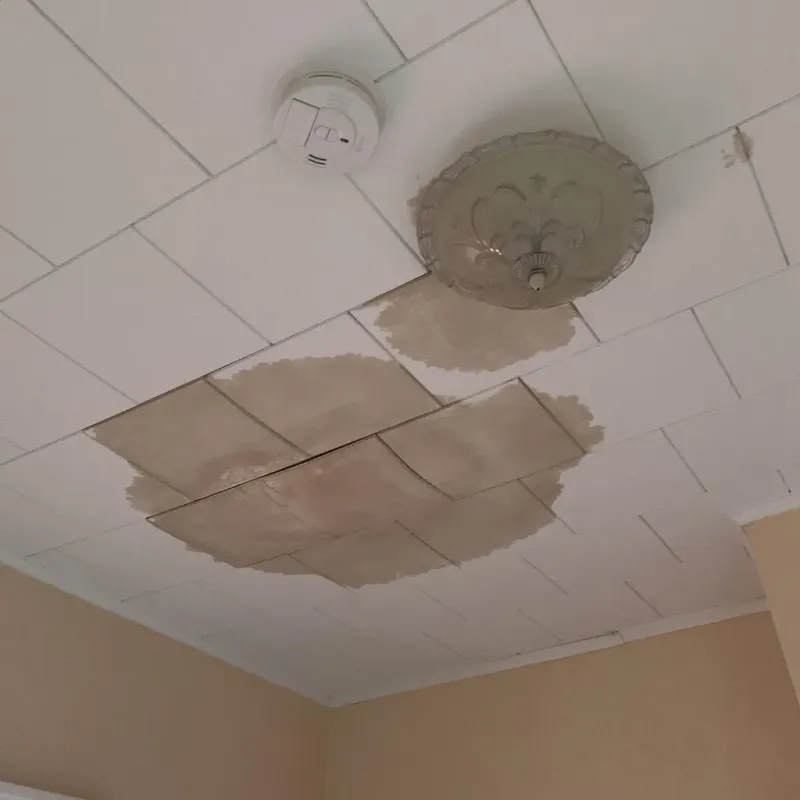 Ceiling Water Damage Repair in Fort Bend County, TX
