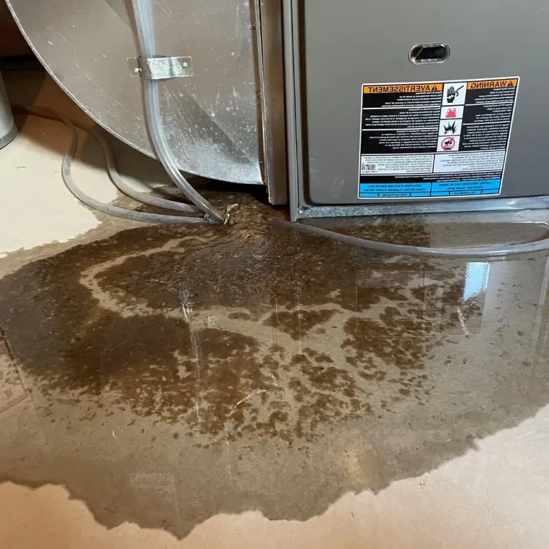 Pipe Burst and Leak Restoration in Fort Bend County, TX