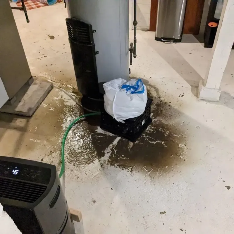 Sewage Backup Cleanup Service in Fort Bend County, TX